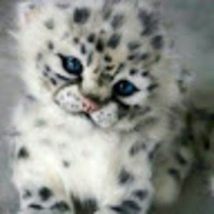 Meet your Posher, Gary b.